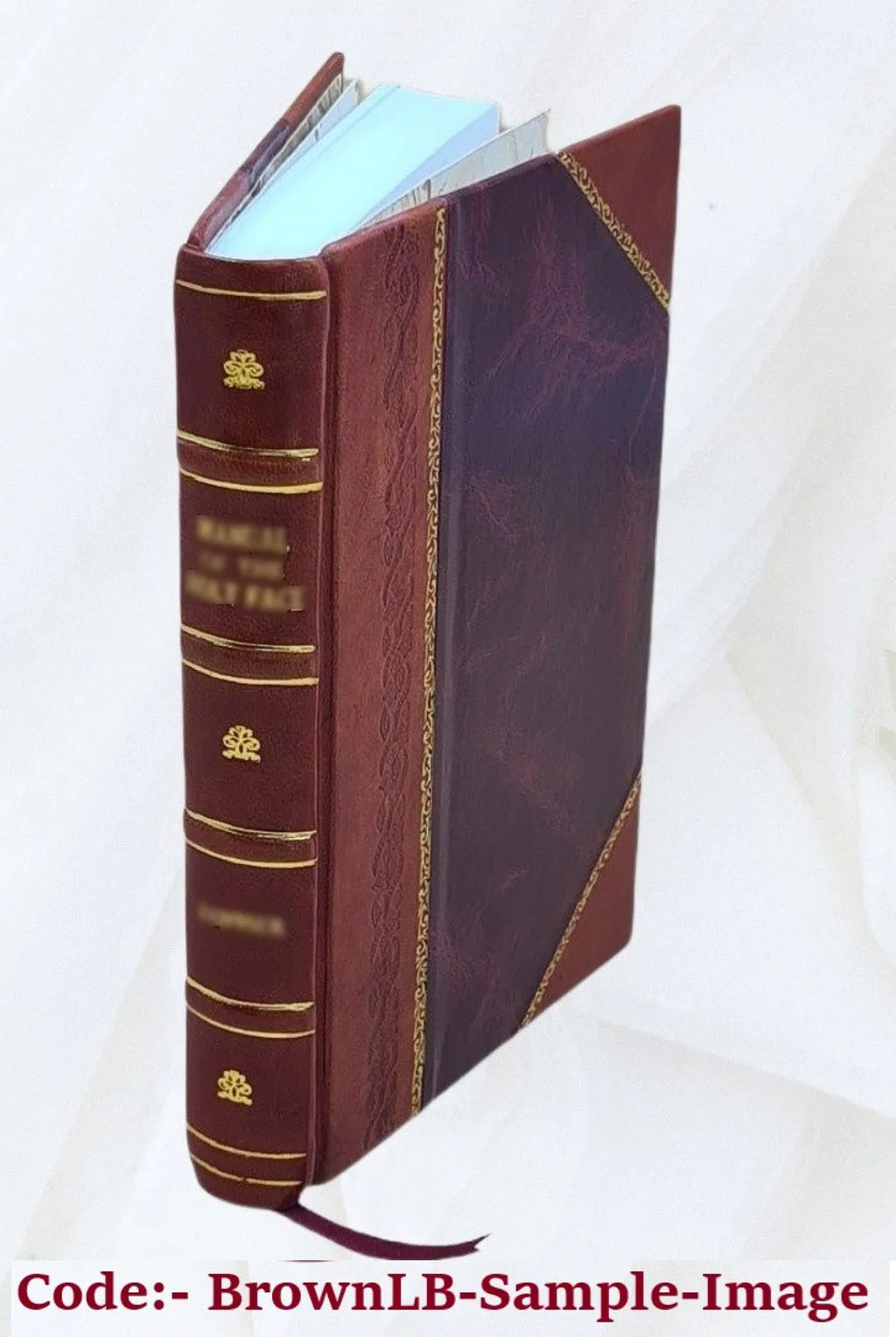 Bibliographie étrangère, ou Indicateur raisonné des livres nouveaux en tous genres. Volume 1815 1815 [Leather Bound]