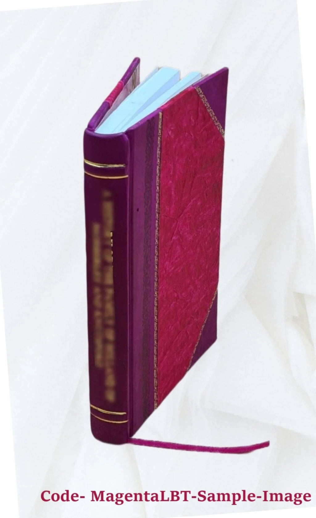 The carrying of the ghost :a book of verse / 1923 [Leather Bound]