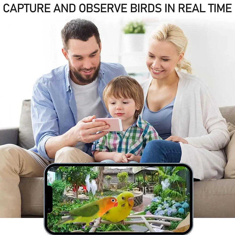 Dcenta Smart Bird Feeder Camera 1080P Auto Capture Bird Video Motion Detection Real-time Notification AI Identify Bird Species IP65 Waterproof 128G TF Cards, Excellent for Bird Lovers