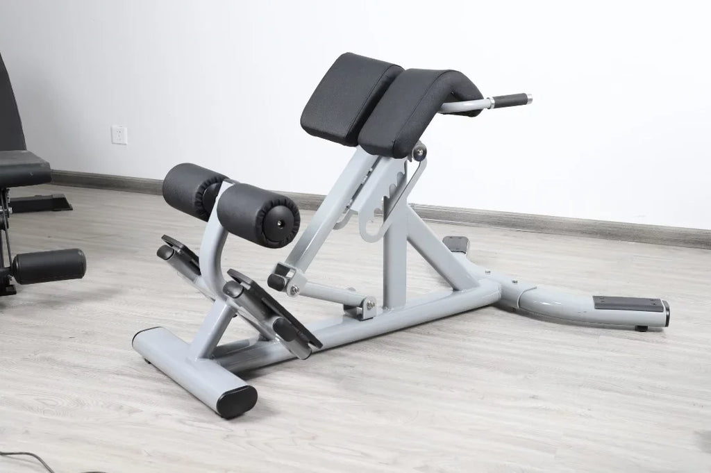 French Fitness FFS Silver 45 Degree Hyperextension Back Extension (New)