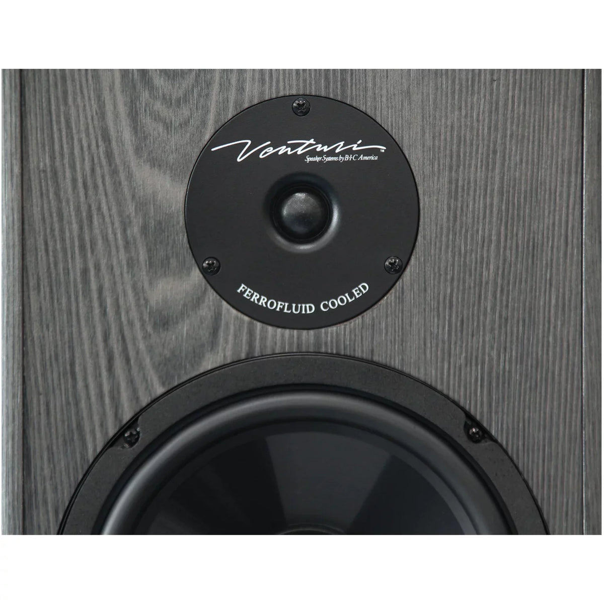 BIC America 2-Way 200-Watt Tower Speaker
