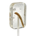 HOTLIX - TEQUILA FLAVORED CANDY WITH WORM - SUGAR FREE - 2 Suckers