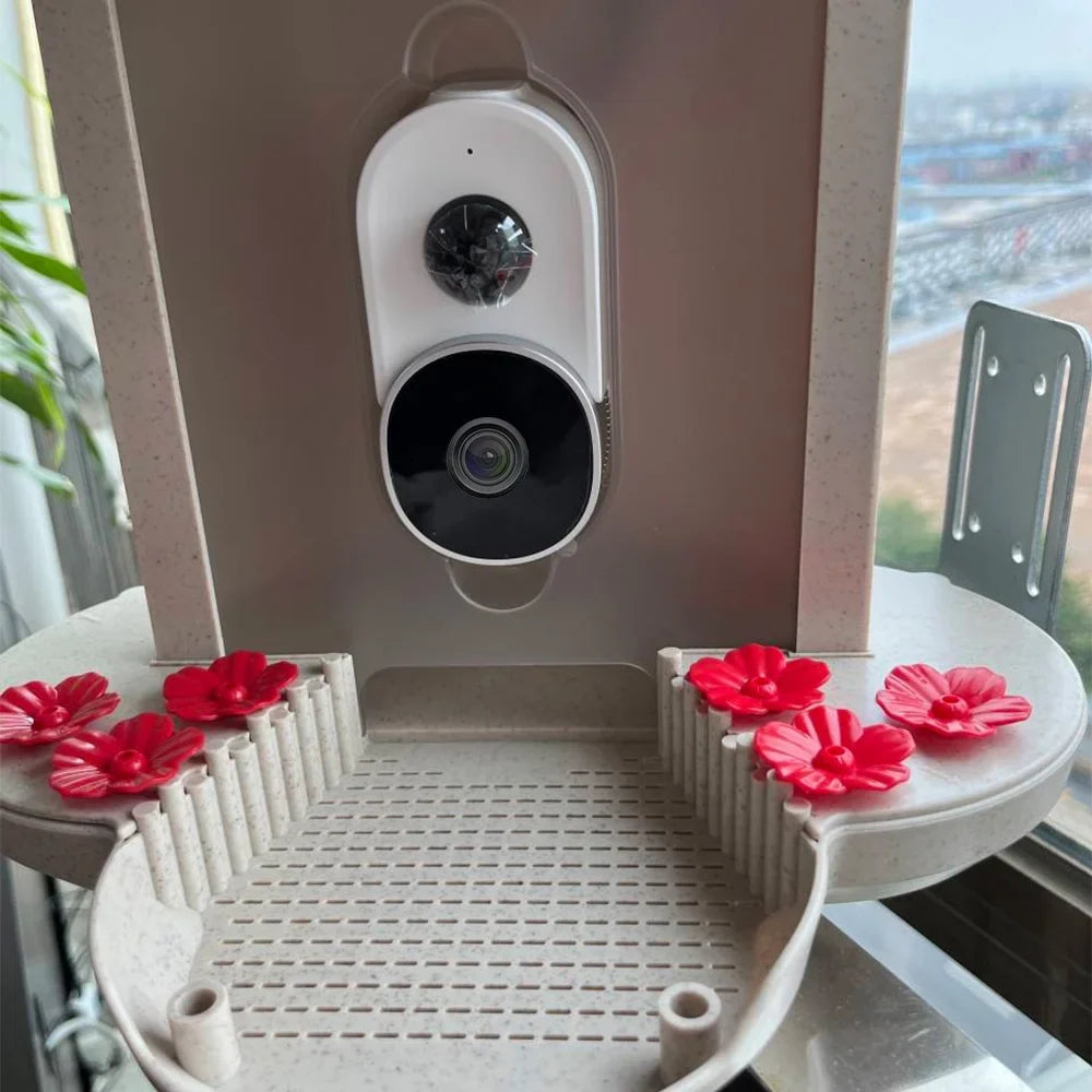 Dcenta Smart Bird Feeder Camera 1080P Auto Capture Bird Video Motion Detection Real-time Notification AI Identify Bird Species IP65 Waterproof 128G TF Cards, Excellent for Bird Lovers