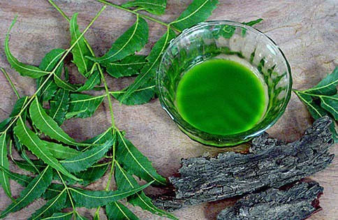 Nimbarka Neem Face Scrub 85gm and Handmade Neem Soap 125gm