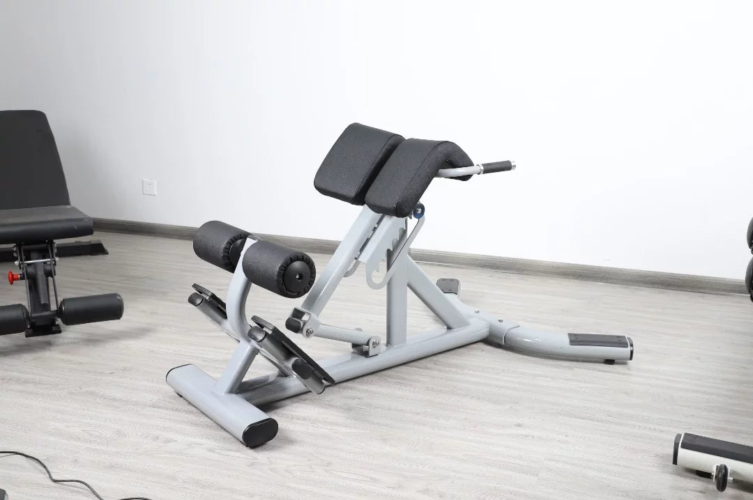 French Fitness FFS Silver 45 Degree Hyperextension Back Extension (New)