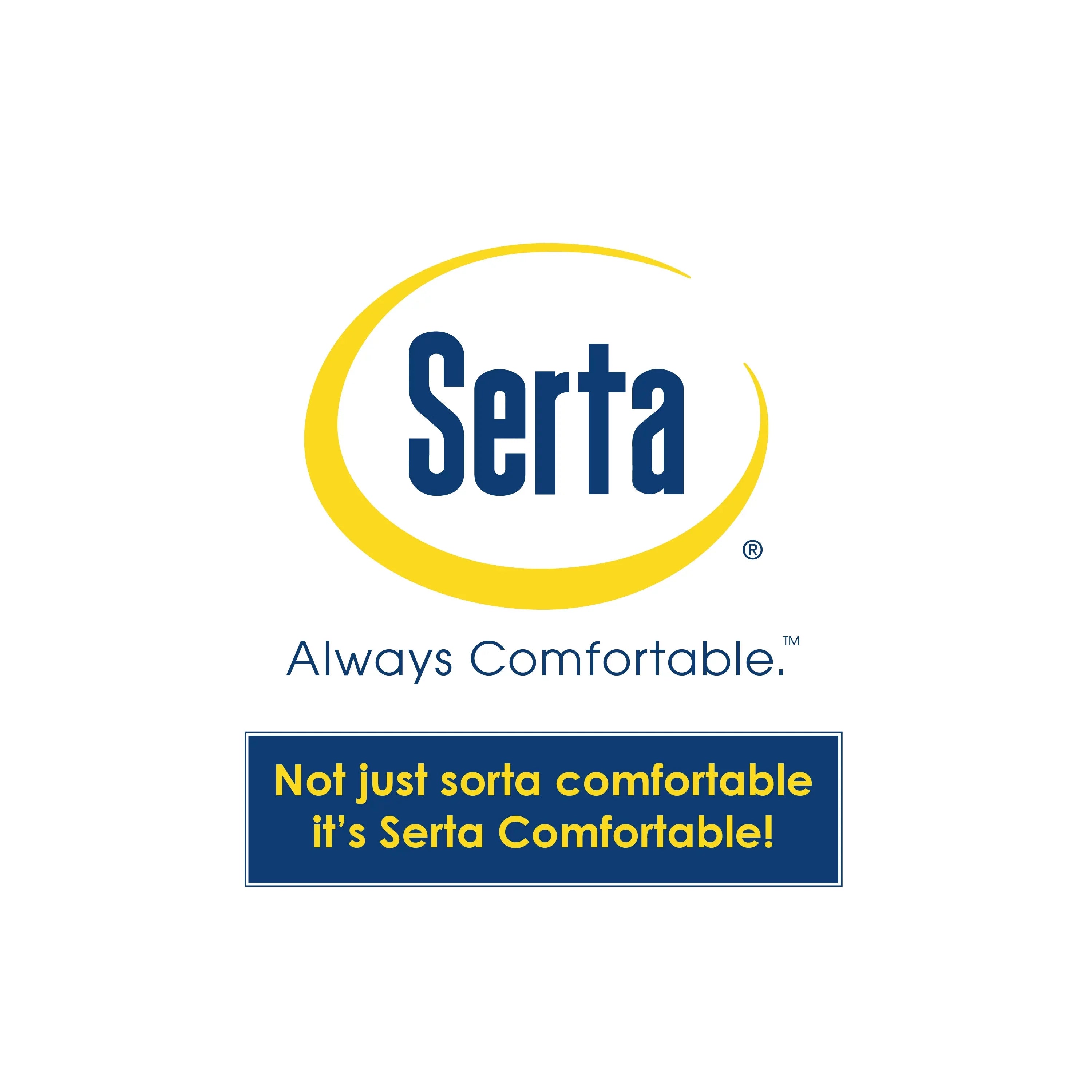 Serta Windsor Futon with Storage and Power, Gray Fabric