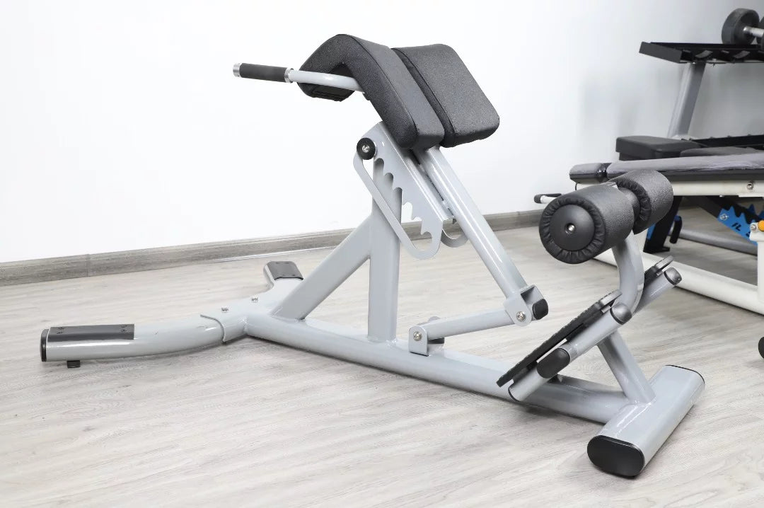 French Fitness FFS Silver 45 Degree Hyperextension Back Extension (New)