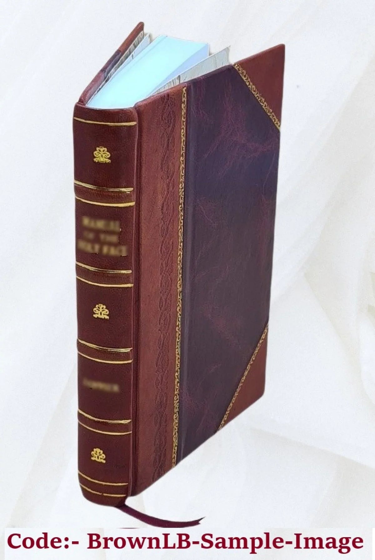 Křižáci 1926 [Leather Bound]