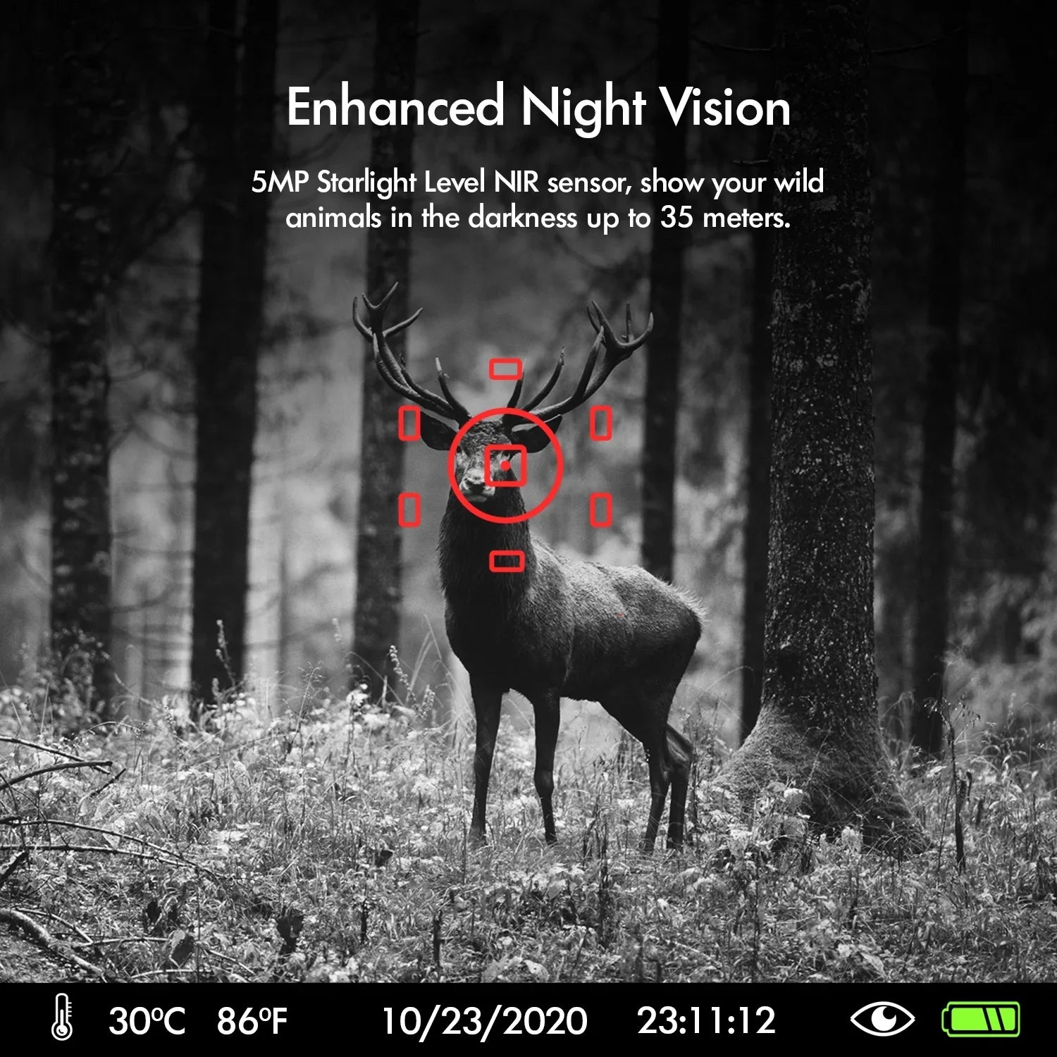 Rexing Woodlense H3 Trail Camera