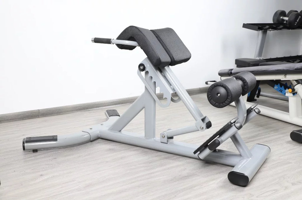 French Fitness FFS Silver 45 Degree Hyperextension Back Extension (New)