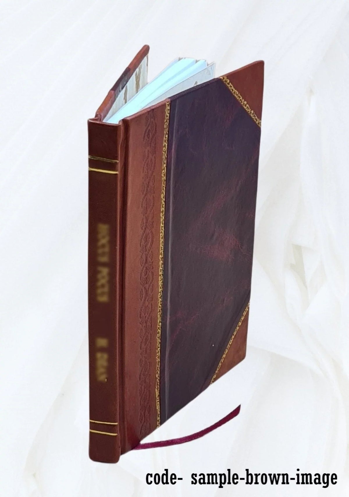 Discours sur l'histoire des Polognois le tout extraict des historiographes allemans . Par Atendant mieux G. D. P. P. 1573 [Leather Bound]