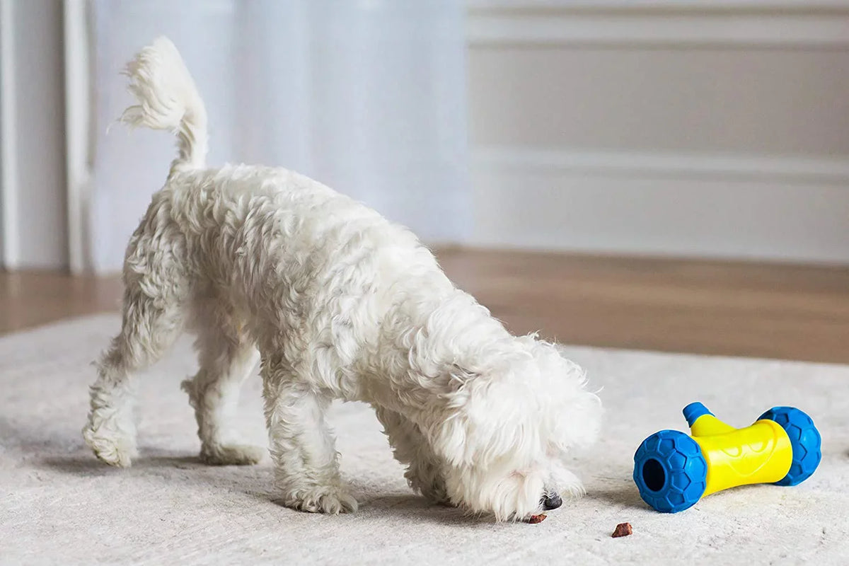 JW Robo Bone Auto Rolling Dog Treat Toy
